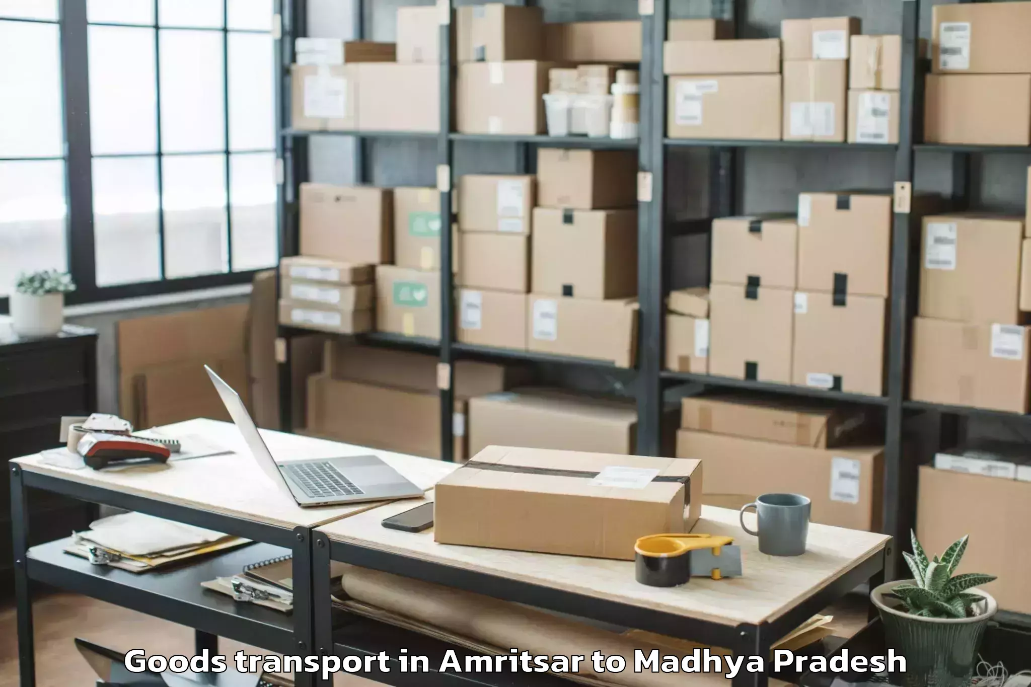 Hassle-Free Amritsar to Dewas Goods Transport